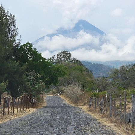 Hotel Juarez 70 Colima Zewnętrze zdjęcie